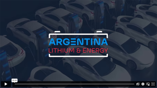 Argentina Lithium Energy Corp Argentina Lithium And Energy